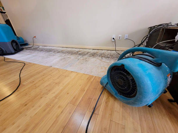 Professional Basement Flood Cleanup technician working in Huron, CA